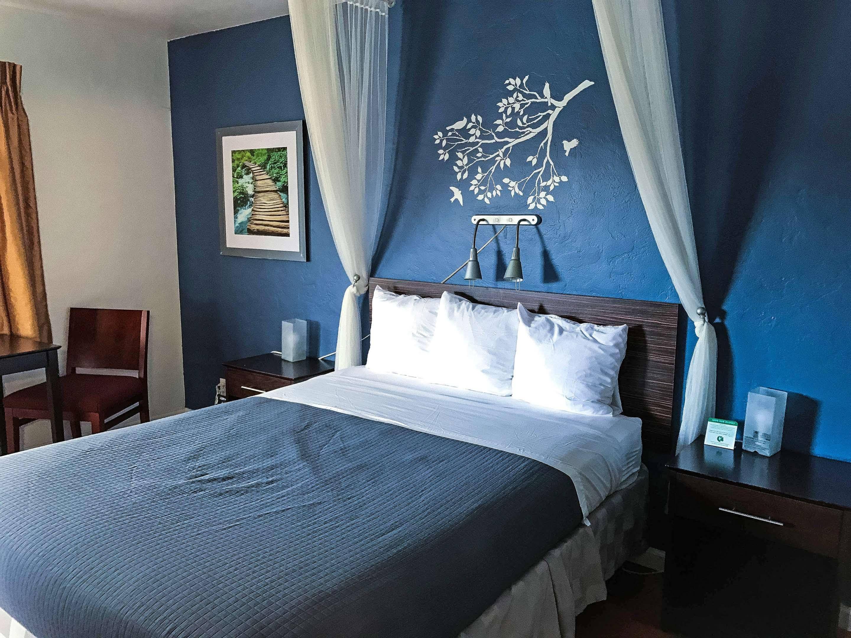 Golden Bear Hotel - Surestay Collection By Best Western Berkeley Exteriér fotografie