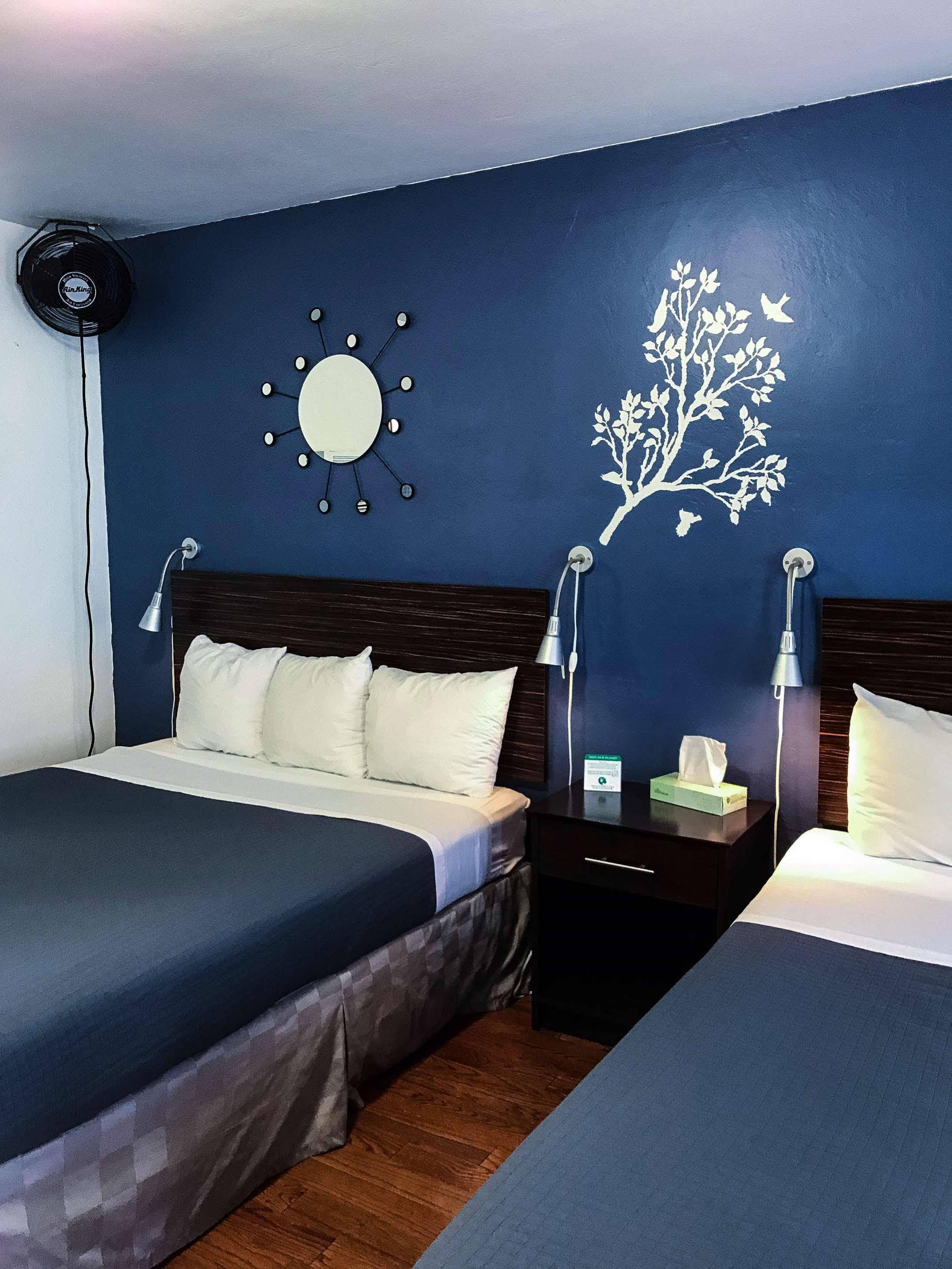 Golden Bear Hotel - Surestay Collection By Best Western Berkeley Exteriér fotografie